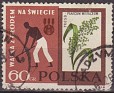 Poland 1963 Basic 60 Groszv Green Scott 1113. Polonia 1113. Uploaded by susofe